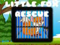 Spill Little Fox Rescue
