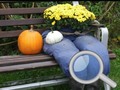 Spill Autumn Garden Find 100 butterflies