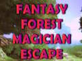 Spill Fantasy Forest Magician Escape