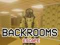 Spill Backrooms Escape