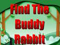 Spill Find The Buddy Rabbit