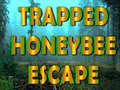 Spill Trapped Honeybee Escape