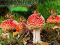 Spill Mushroom Forest Adventure