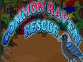 Spill Common Raven Rescue