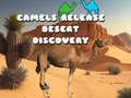 Spill Camels Release Desert Discovery