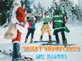 Spill Ski Resort Hidden Snowflakes