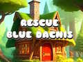 Spill Rescue Blue Dacnis
