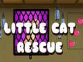 Spill Little Cat Rescue