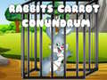 Spill Rabbits Carrot Conundrum