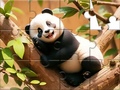 Spill Jigsaw Puzzle: Panda On Tree