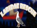 Spill Laridae Rescue