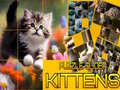 Spill Puzzle Sliding Kittens
