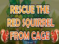 Spill Rescue The Red Squirrel From Cage