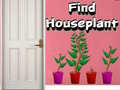 Spill Find Houseplant