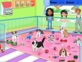 Spill Puppy Pet Care