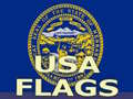 Spill Usa Flags 