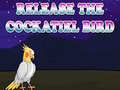 Spill Release The Cockatiel Bird