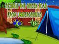 Spill Rescue The Green Toad From Underground