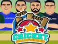 Spill Cricket Championship