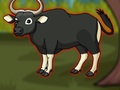Spill Escape The Banteng
