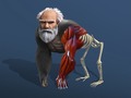 Spill Idle Evolution From Cell To Human