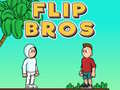 Spill Flip Bros
