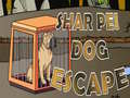 Spill Shar Pei Dog Escape