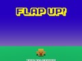 Spill Flap Up