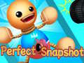 Spill Perfect Snapshot