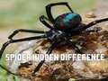 Spill Spider Hidden Difference