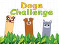 Spill Doge Challenge