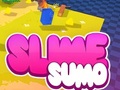 Spill Sumo Slime 3D