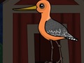Spill Cute Godwit Escape
