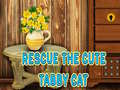 Spill Rescue The Cute Tabby Cat