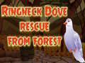 Spill Ringneck Dove Rescue From Forest