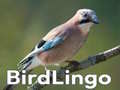 Spill BirdLingo