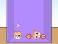 Spill Evolution of Cat Memes