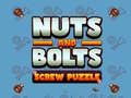 Spill Nuts and Bolts Screw Puzzle