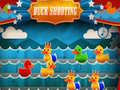 Spill Duck Shooting