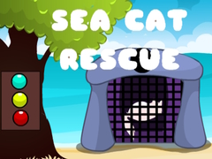 Spill Sea Cat Rescue