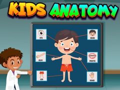 Spill Kids Anatomy