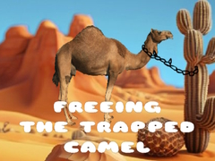 Spill Freeing the Trapped Camel