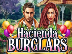 Spill Hacienda Burglars