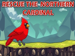 Spill Rescue The Northern Cardinal