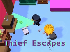 Spill Thief Escapes