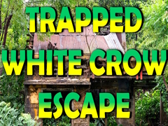 Spill Trapped White Crow Escape