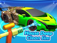 Spill House Deep Clean Sim