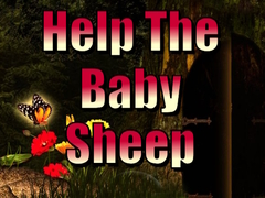 Spill Help The Baby Sheep