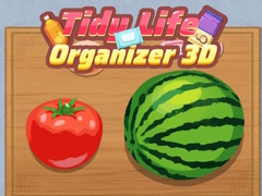 Spill Tidy Life Organizer 3D