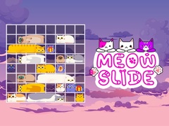 Spill Meow Slide